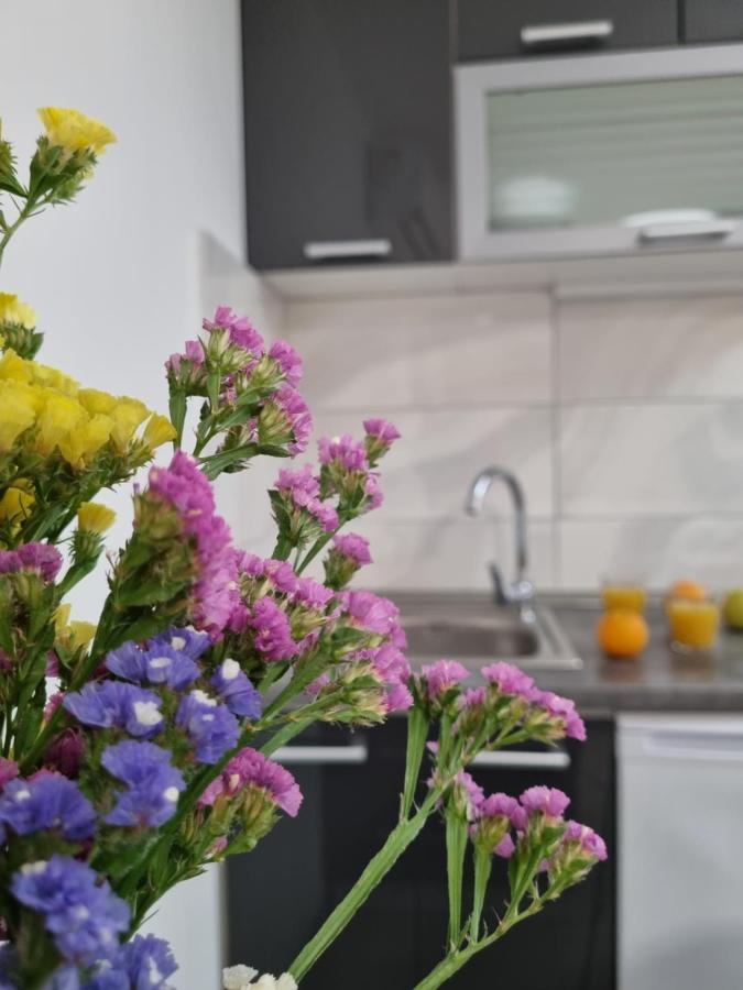 Studio Apartment Rosalie سبليت المظهر الخارجي الصورة